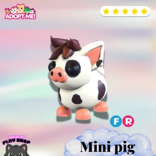 FR Mini Pig
