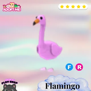 FR Flamingo