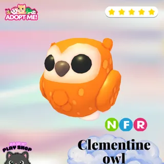 NFR CLEMENTINE OWL