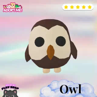 FR Owl
