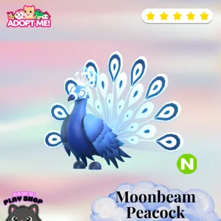 neon moonbeam peacock