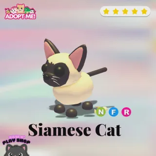 ADOPT ME! 🐾 NFR SIAMESE CAT