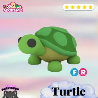 FR TURTLE