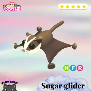 NFR SUGAR GLIDER