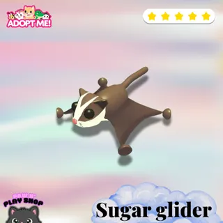 Sugar glider