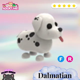 FR Dalmatian