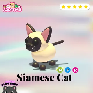 Adopt me! NFR Siamese cat 