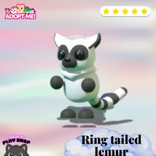 Adopt me! Ring tailed lemur