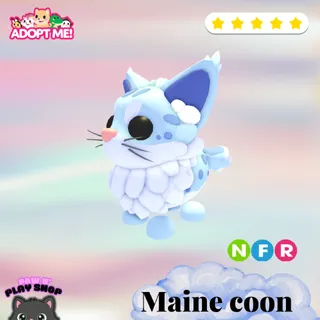 NFR MAINE COON