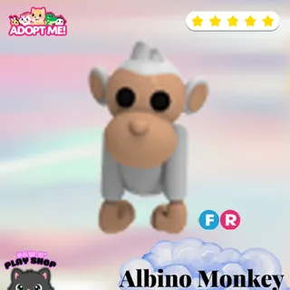 fr albino monkey