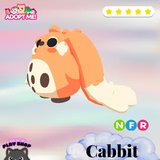 NFR CABBIT