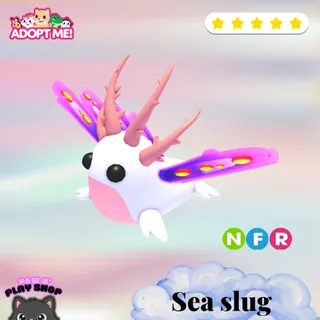 NFR SEA SLUG