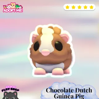 NEON CHOCOLATE GUINEA PIG
