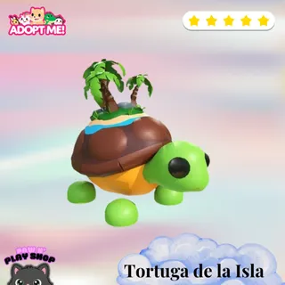  Tortuga de la Isla