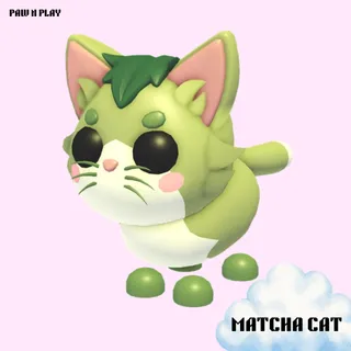 MATCHA CAT