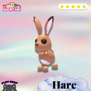 Adopt me! Hare