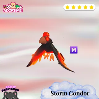 MFR Storm Condor
