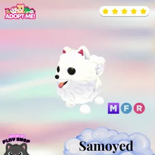 MFR SAMOYED