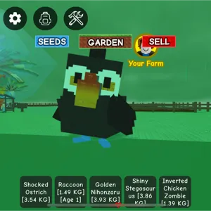 MEGA TOUCAN BIG SIZE GAG