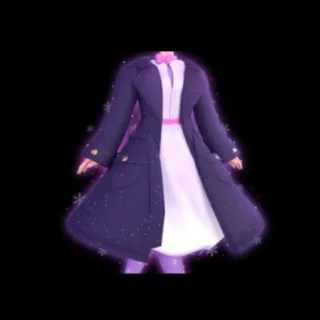 Decembers dream coat