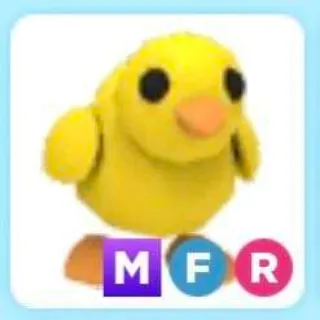 Mfr Chick