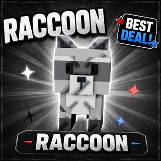 Raccoon
