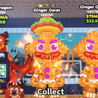 [1.1B/S] Ginger Gerat