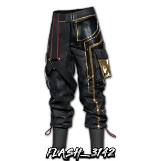 Gilded Guardian Battle Pants