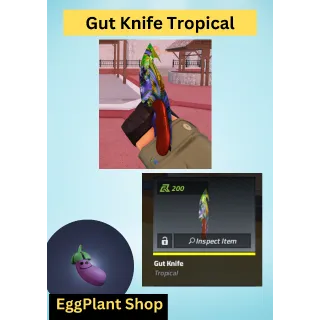 Counter Gut-Tropical