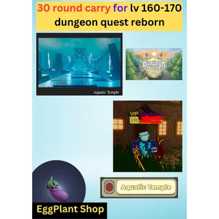 dungeon quest reborn 30 round carry lv 160-170 Read description