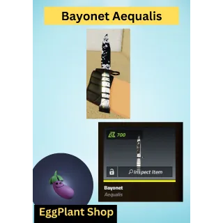 Counter Blox Bayonet-Aequalis