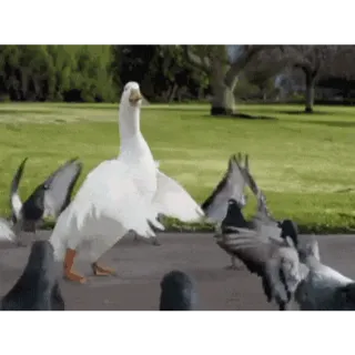 Counter Blox Custom order