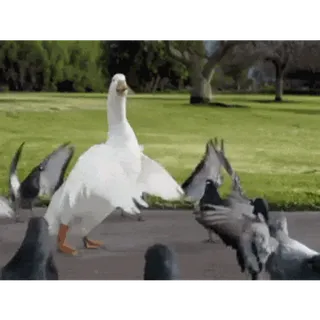 Deepwoken Custom order