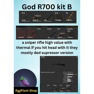  project dealta (2 week - wipe) x1 God-R700 kit B