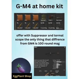 Project delta x1 quest M4