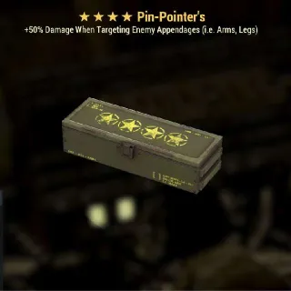 4* Pin-Pointer Mod