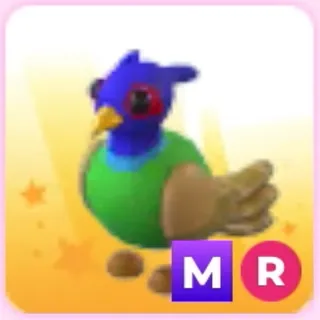 MR Green ChestedPheasant