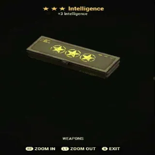 Intelligence Weapon mod