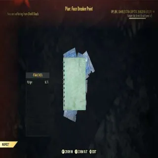 Plan: Face Breaker Paint