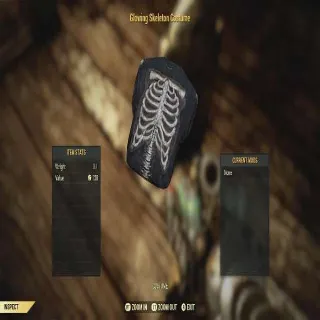 Glowing Skeleton Costume + Hood