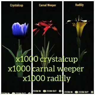 x1000 carnal weeper, radlily, crystalcup