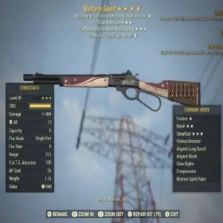 Western Spirit