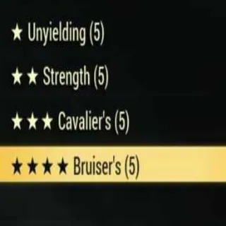 UNY 2S CAV BRUISERS MODS