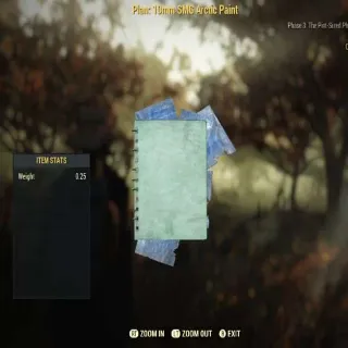 Plan: 10mm SMG Arctic Paint