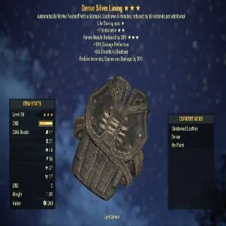 Silver Lining (Max LVL)