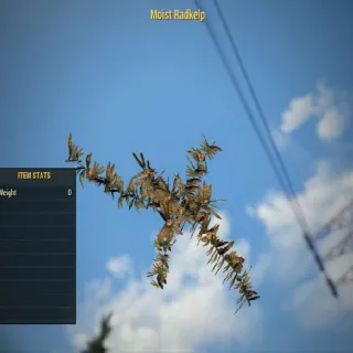 x5 Moist Radkelp