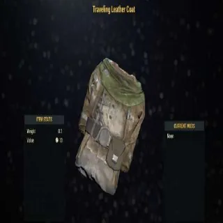 Traveling Leather Coat