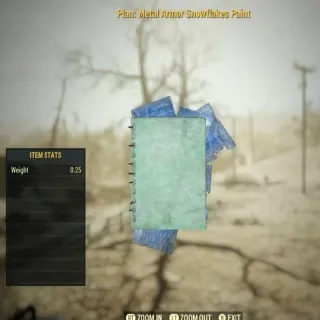 Plan: Metal Armor Snowflakes Paint