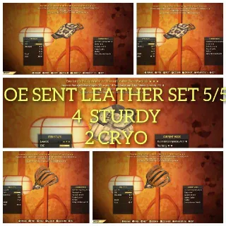 Apparel | OE SENT LEATHER SET