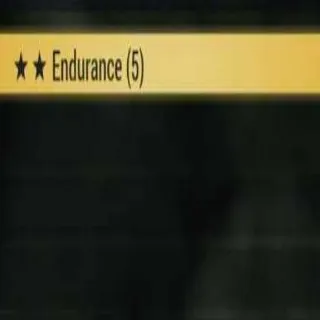 5 Endurance mods